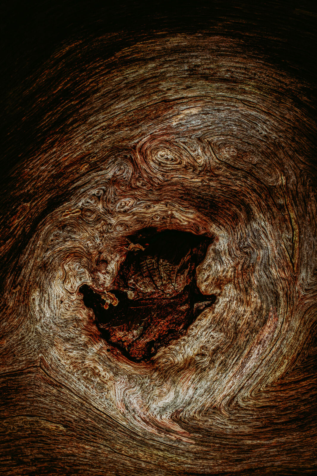Wood #1