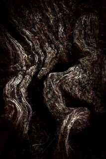 Wood & Stone