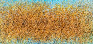 Abstract Landscapes