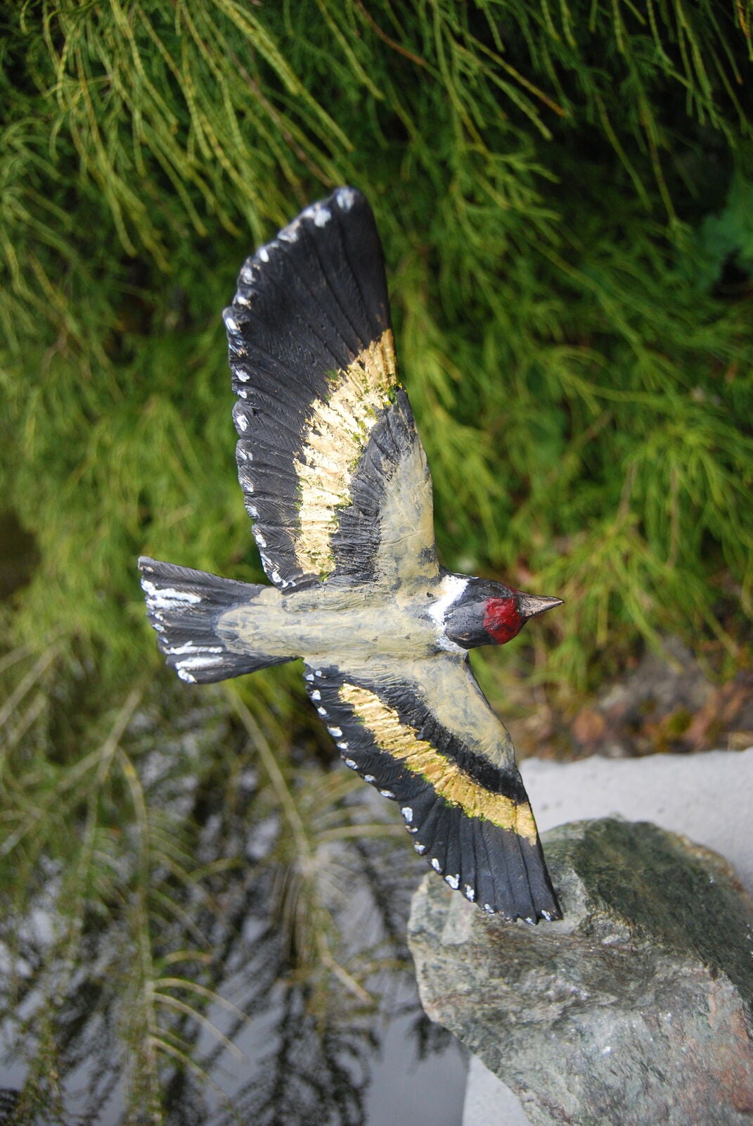 Goldfinch Gold Flight - in Close up