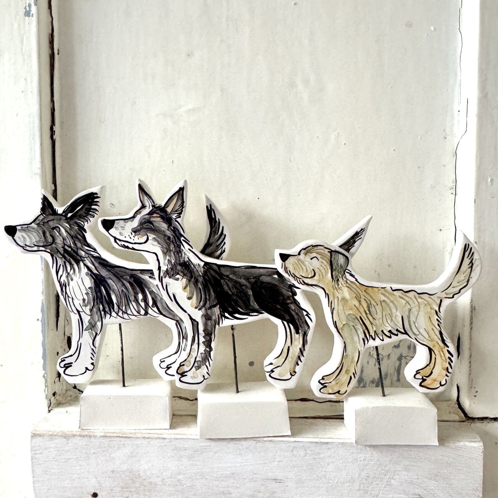 Pet portraits