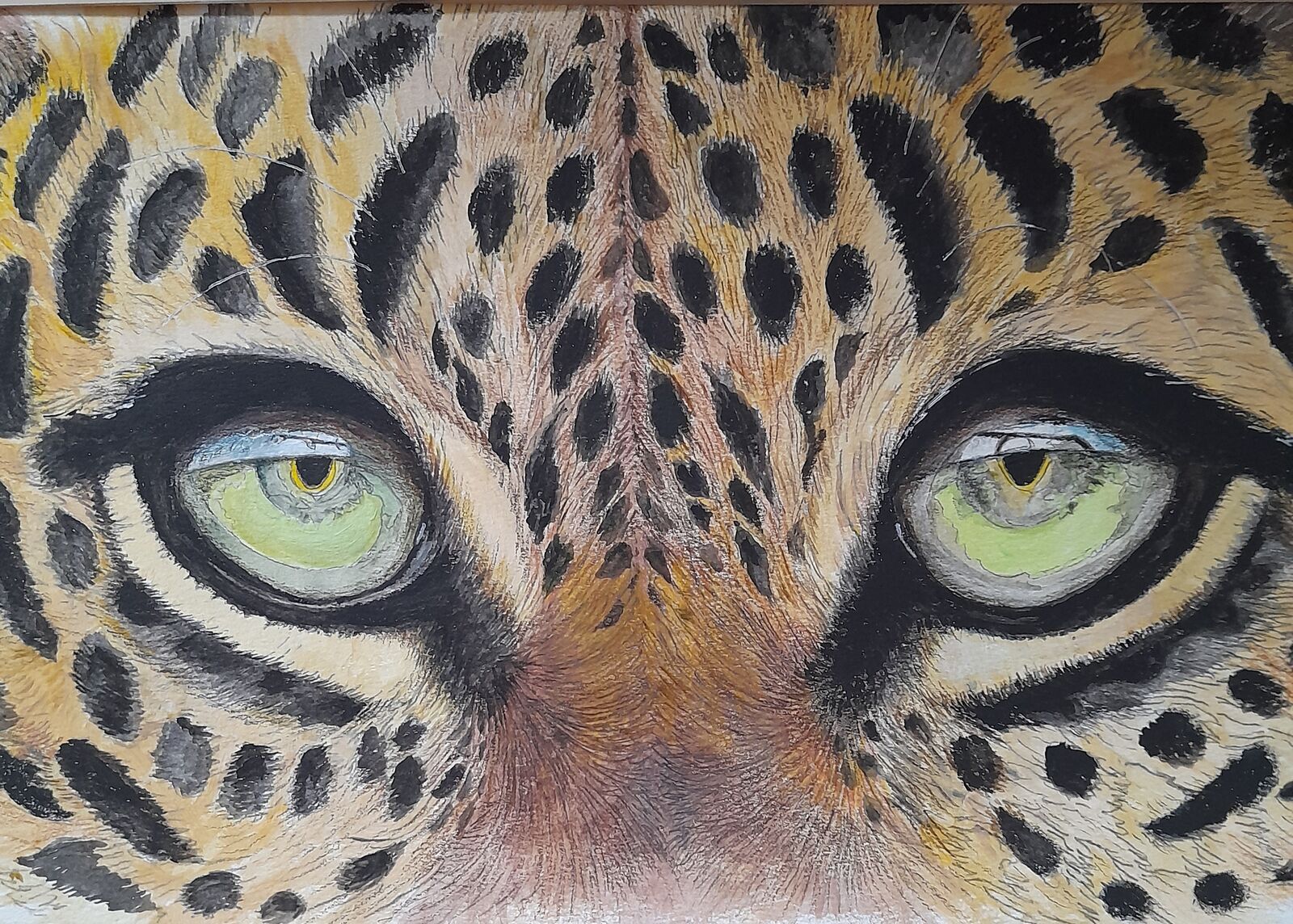 Hunter's eyes