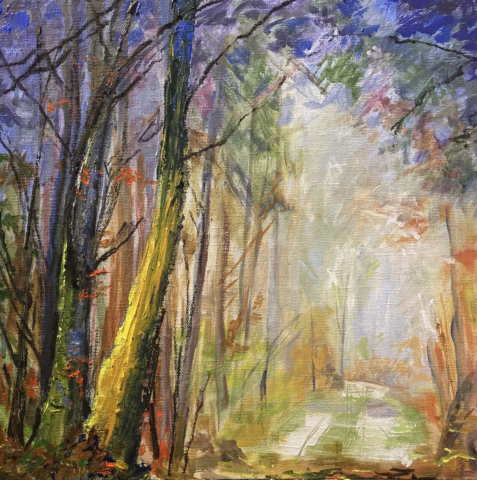 Woodland dream.