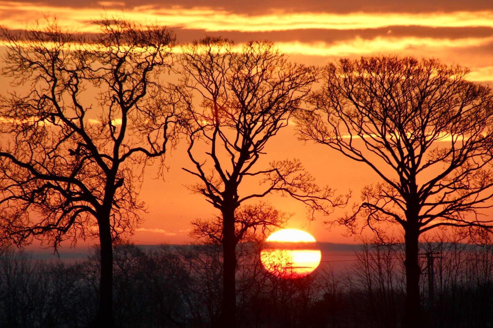 Spring Sunrise