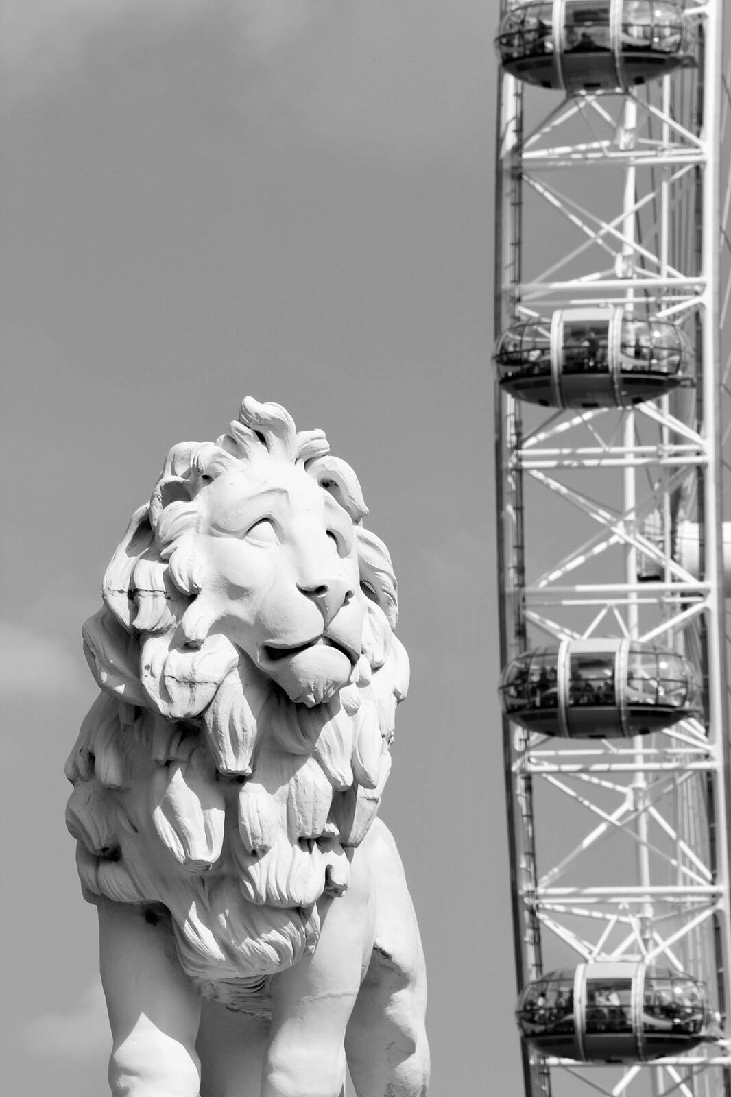 Wheel Guardian