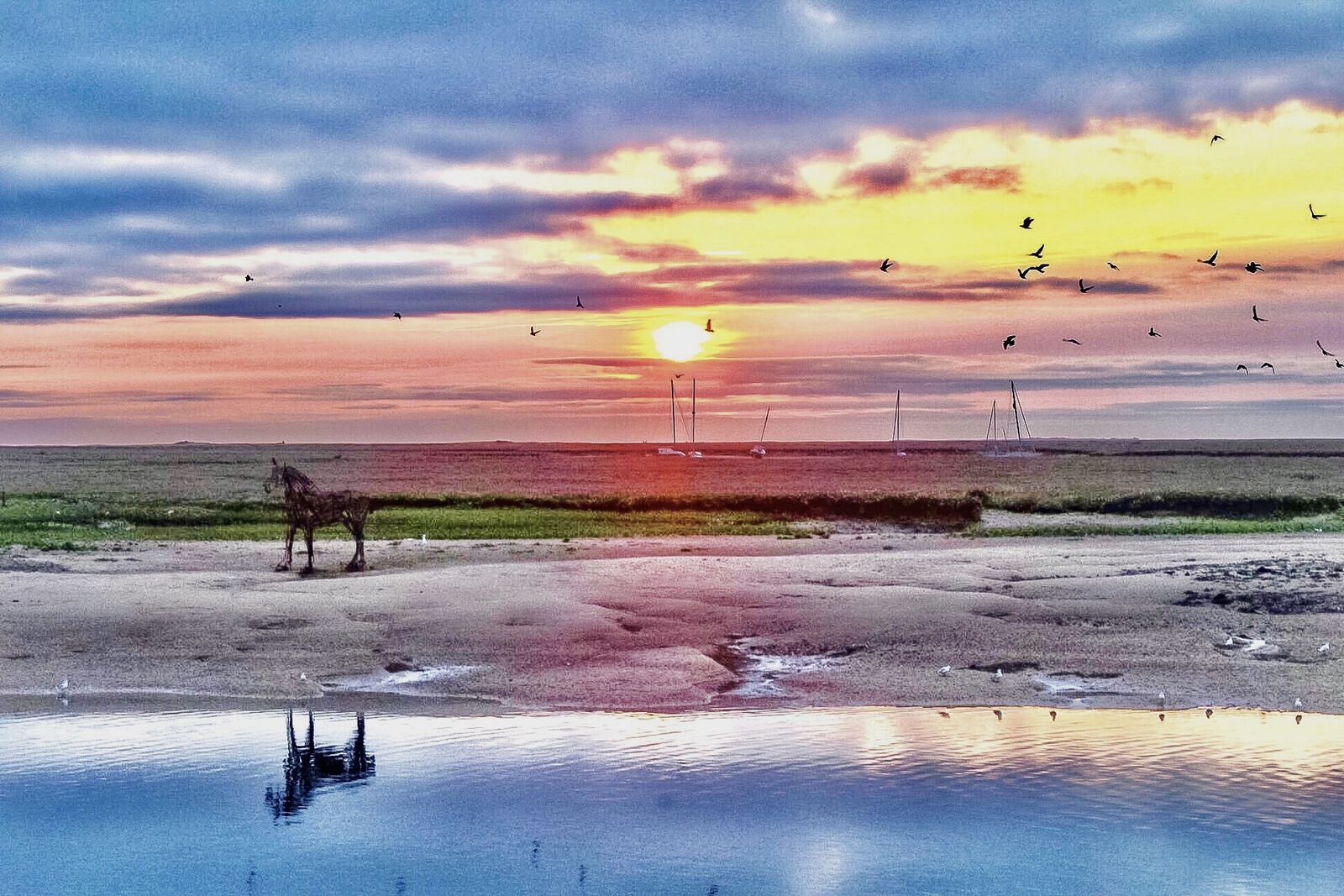 Wells Sunrise 