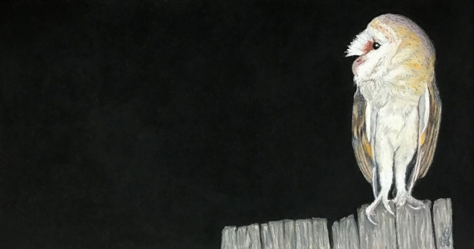 Guardian of the Night