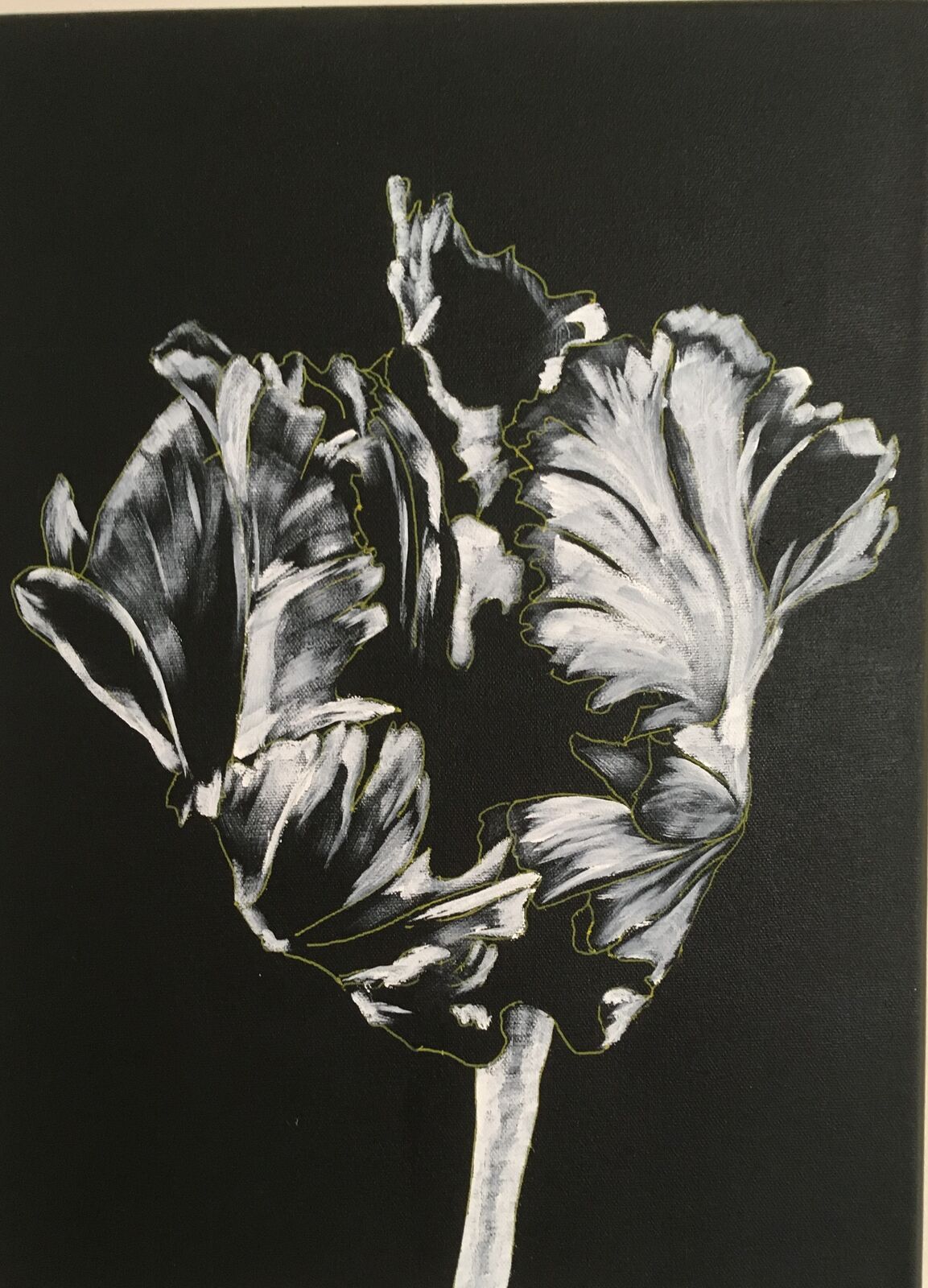 Tulip