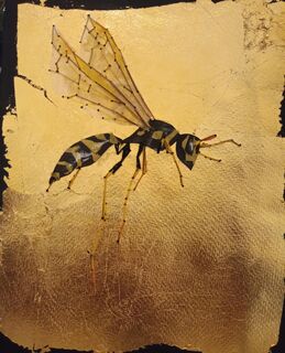 Insects