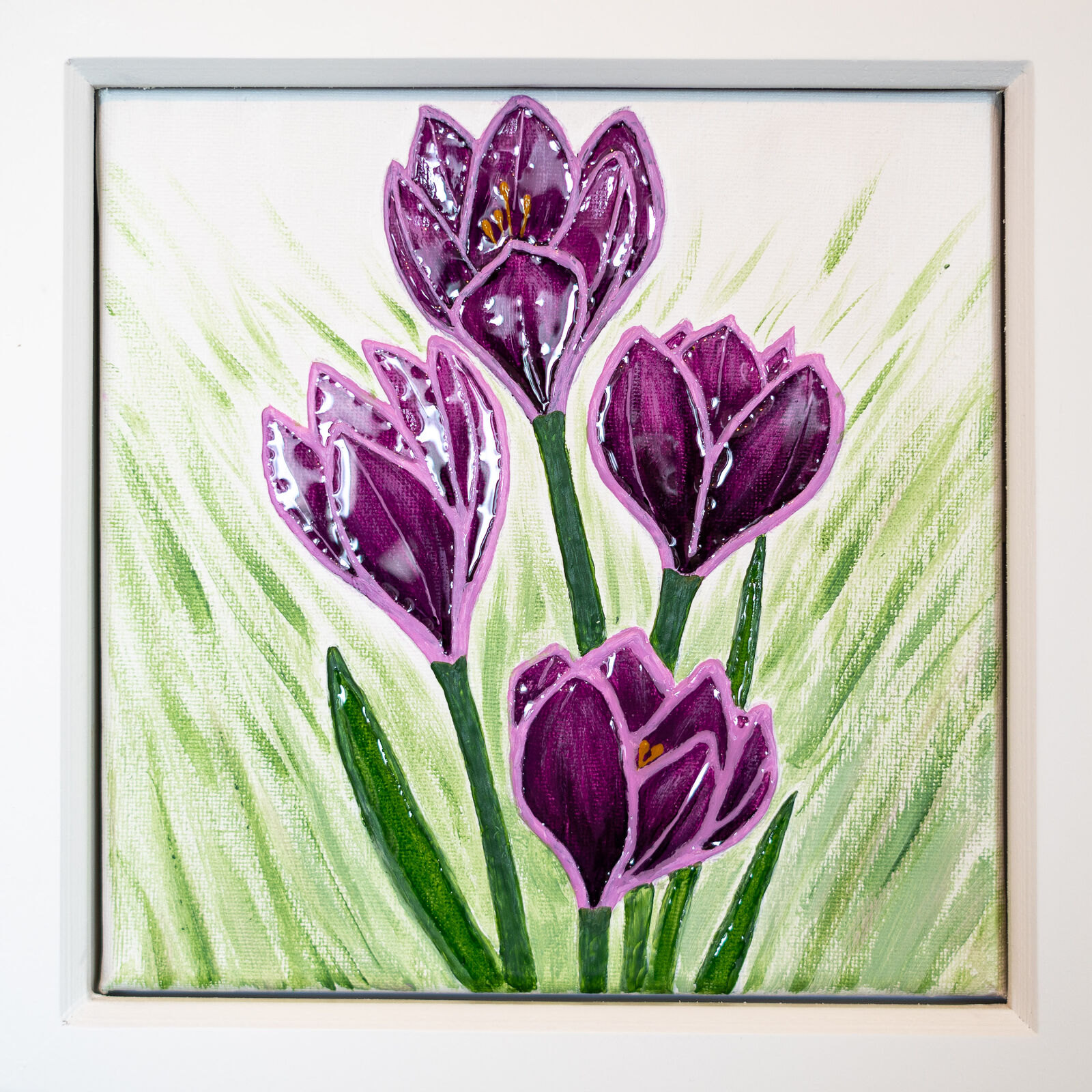 Crocus