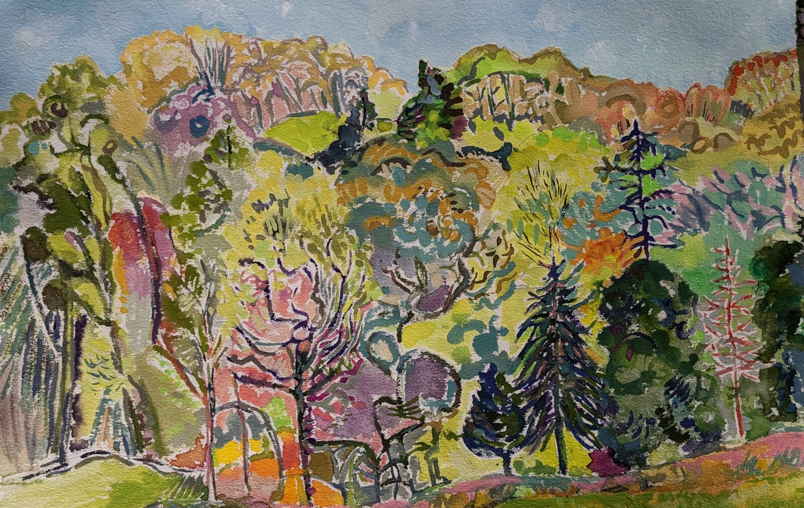 Floras trees at Rylstone