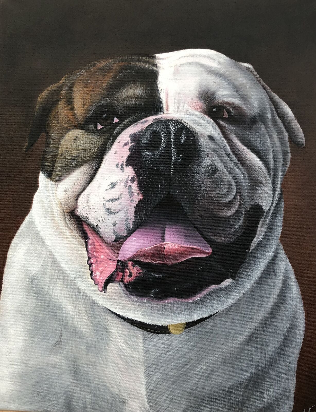 Bull Dog