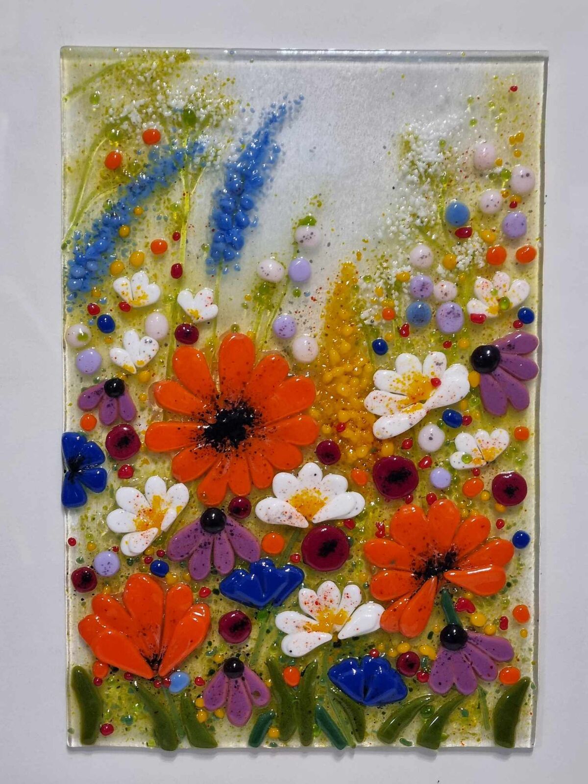 Sunshine Meadow