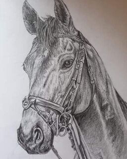 Drawing artwork by Juliette Brasher