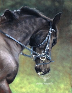 Horses
