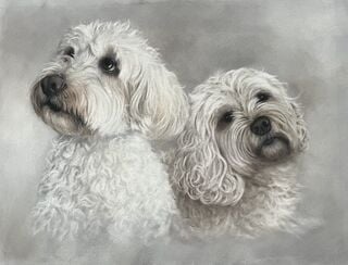 Dogs