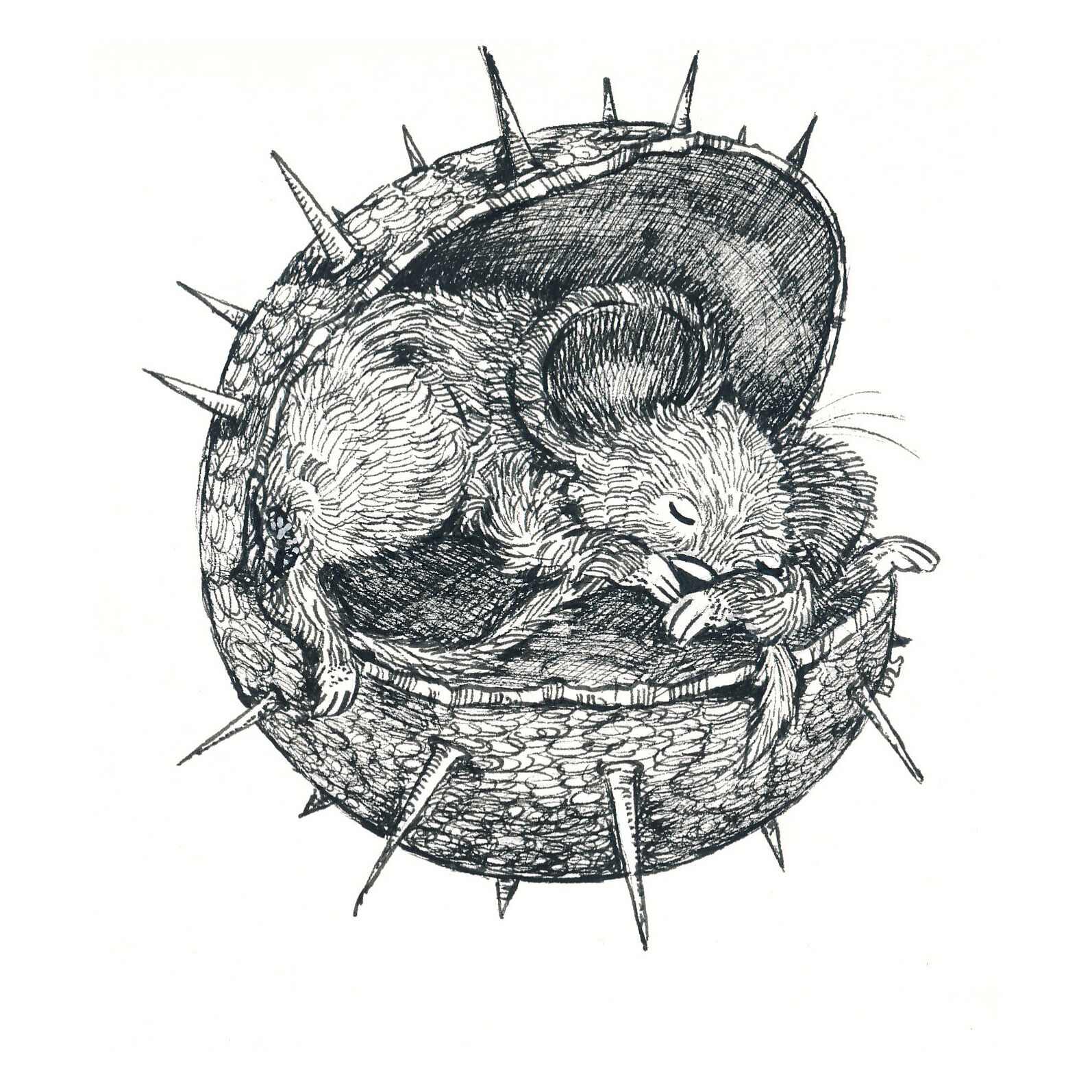 Sleeping Mouse