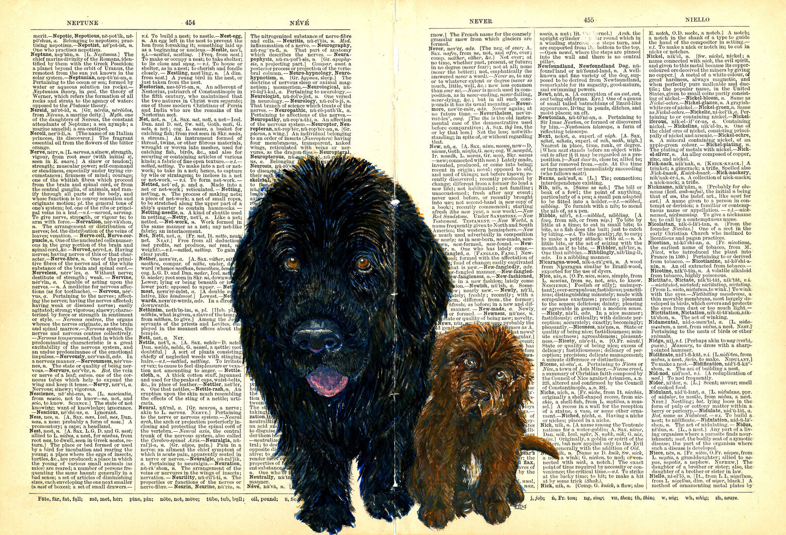 Newfoundlands on 1892 Dictionary Paper