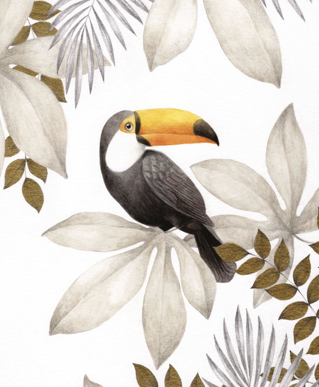 Toucan
