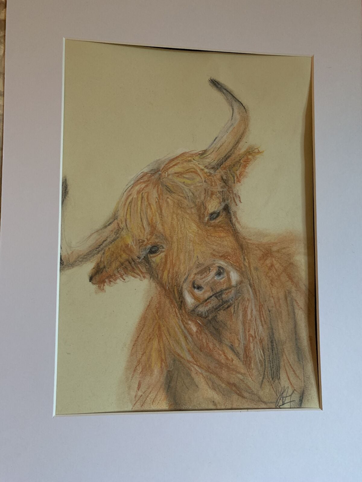 Highland gaze