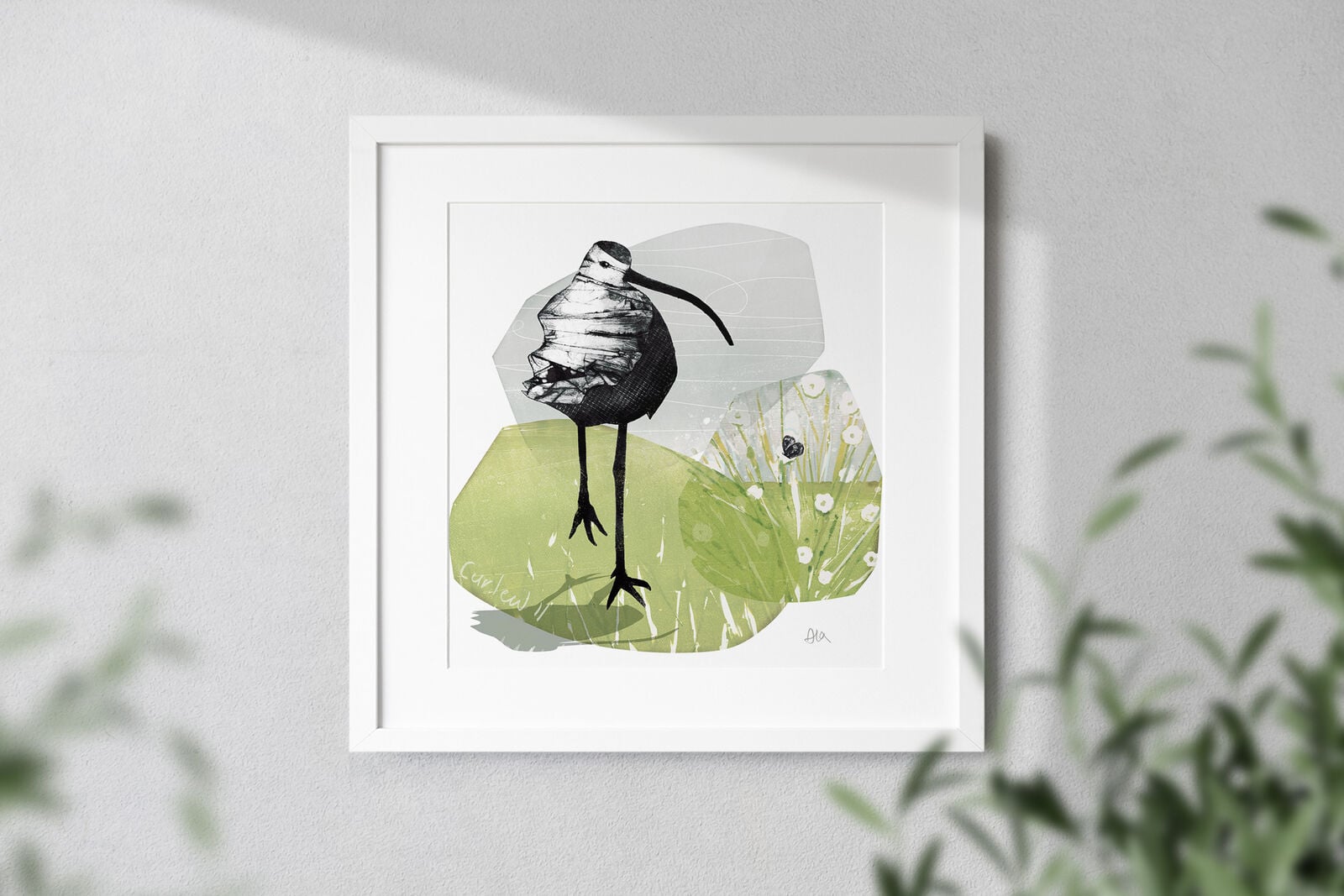 Curlew II