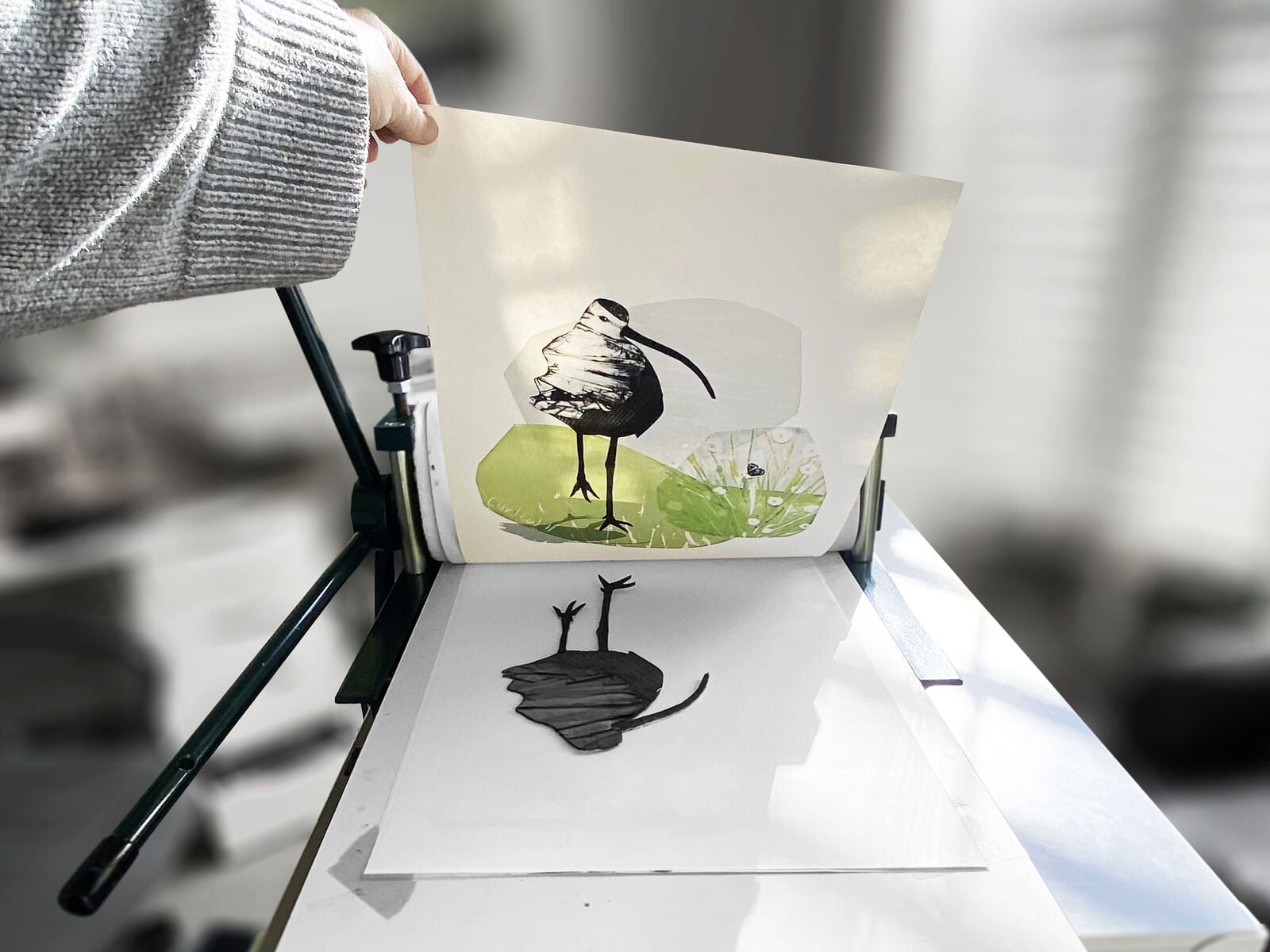 Curlew II on the press