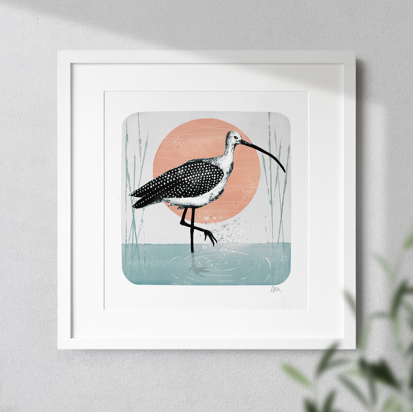 Curlew I