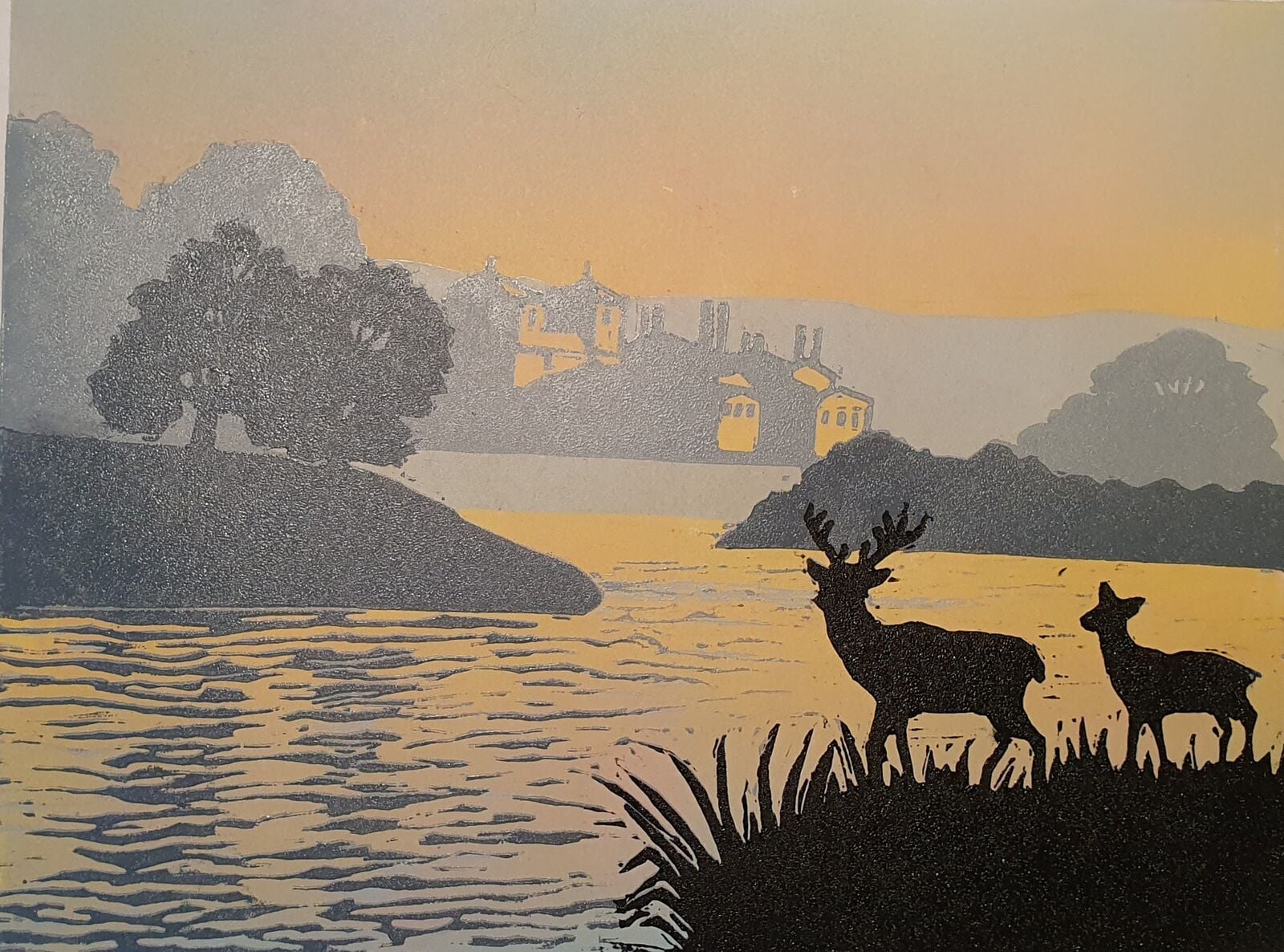 Deer at Holkham park 