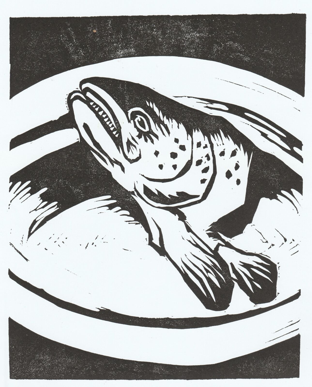 Fish Head