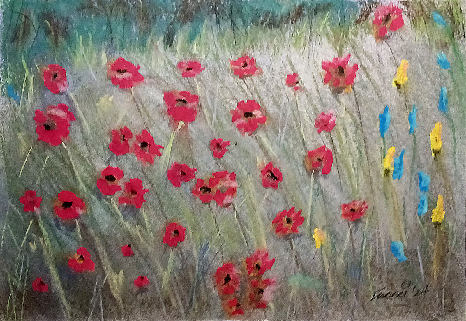 Poppy Study
