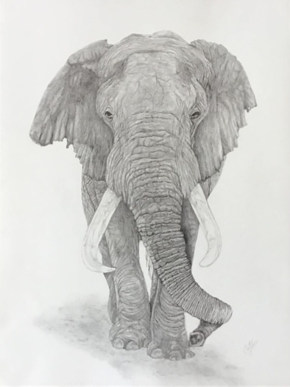 Graceful Giant
