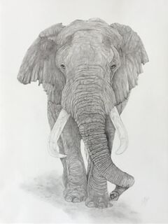 Graceful Giant by Cate Kutas