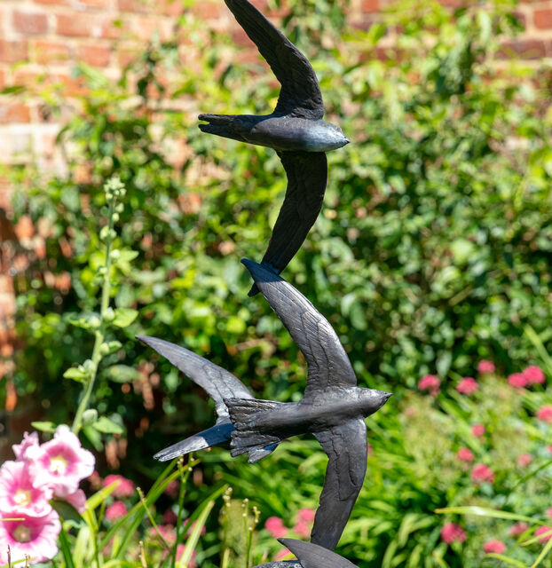 Swift Party set in Garden