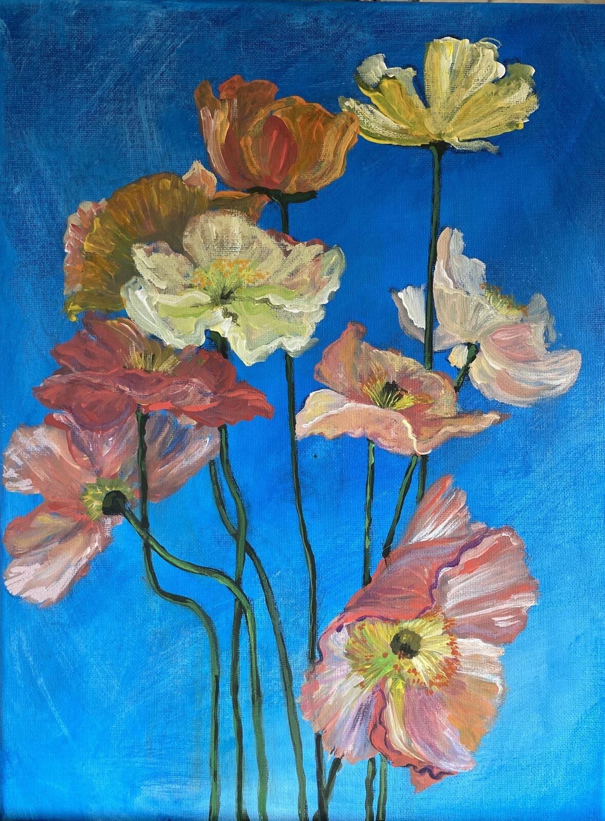 Sunshine poppies