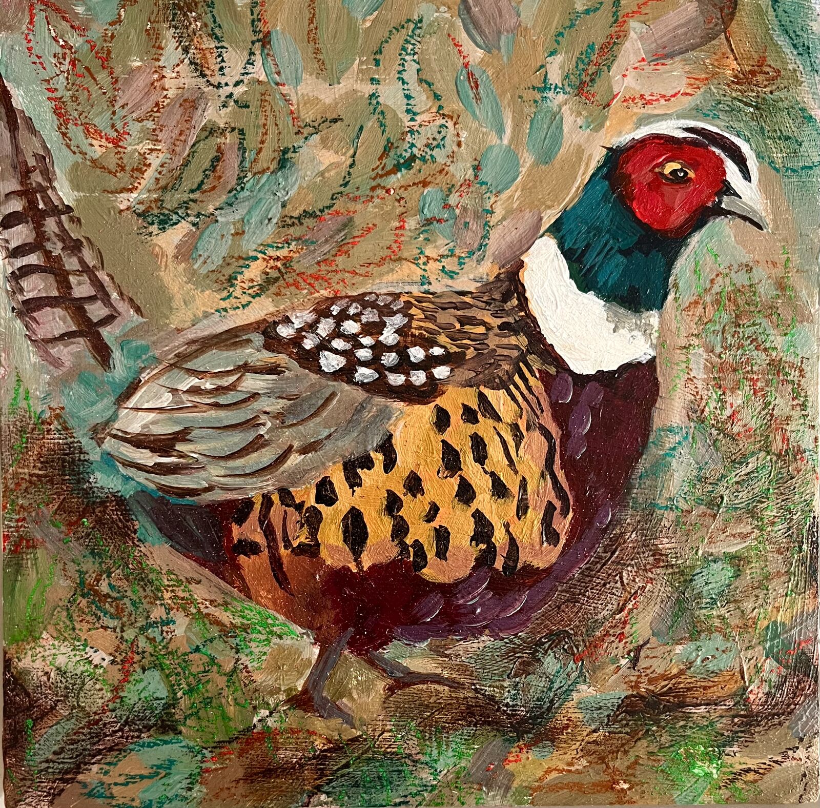 Felix, King of Balmoral (Balmoral Pheasant)