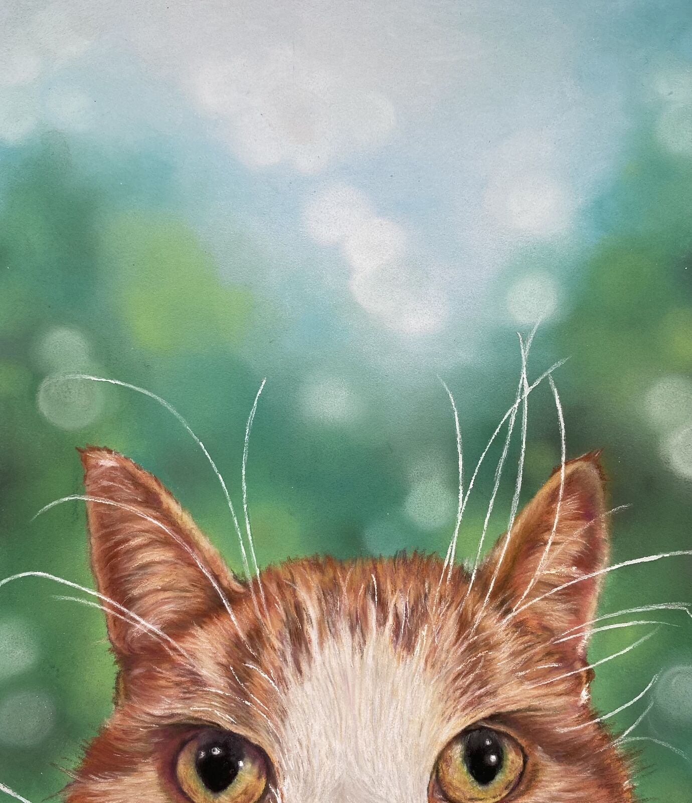 Inquisitive Cat