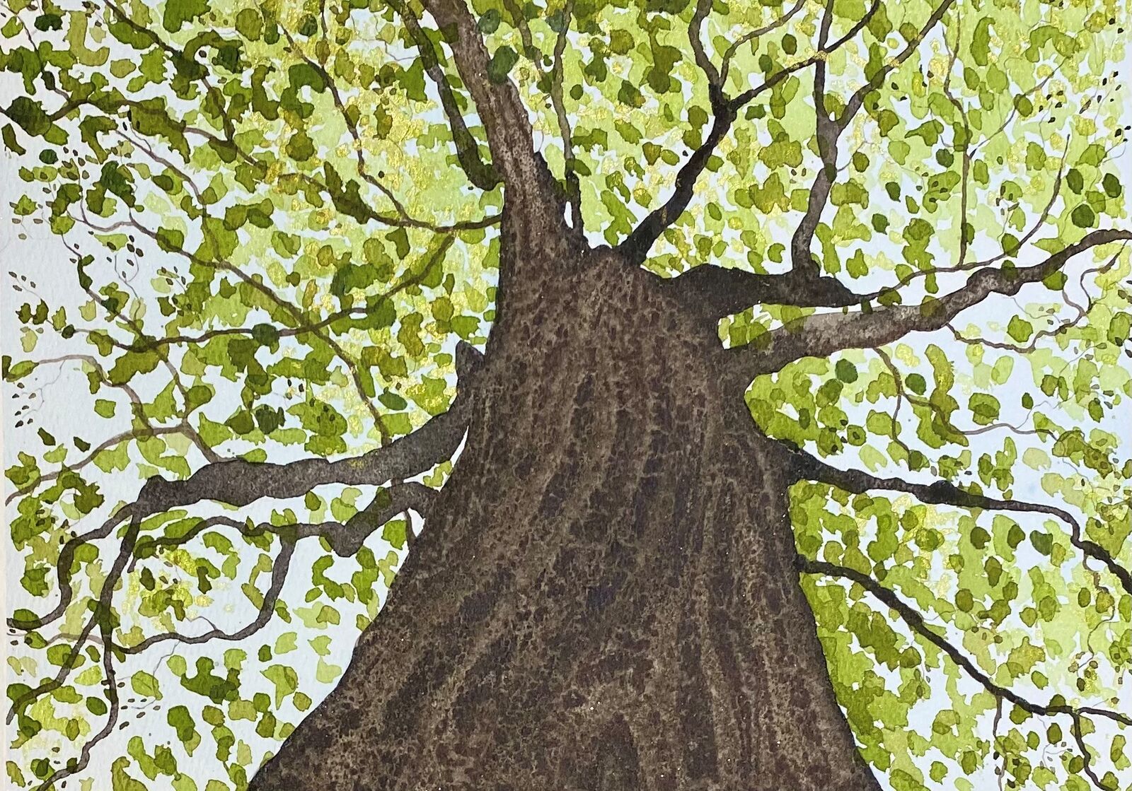 Looking up