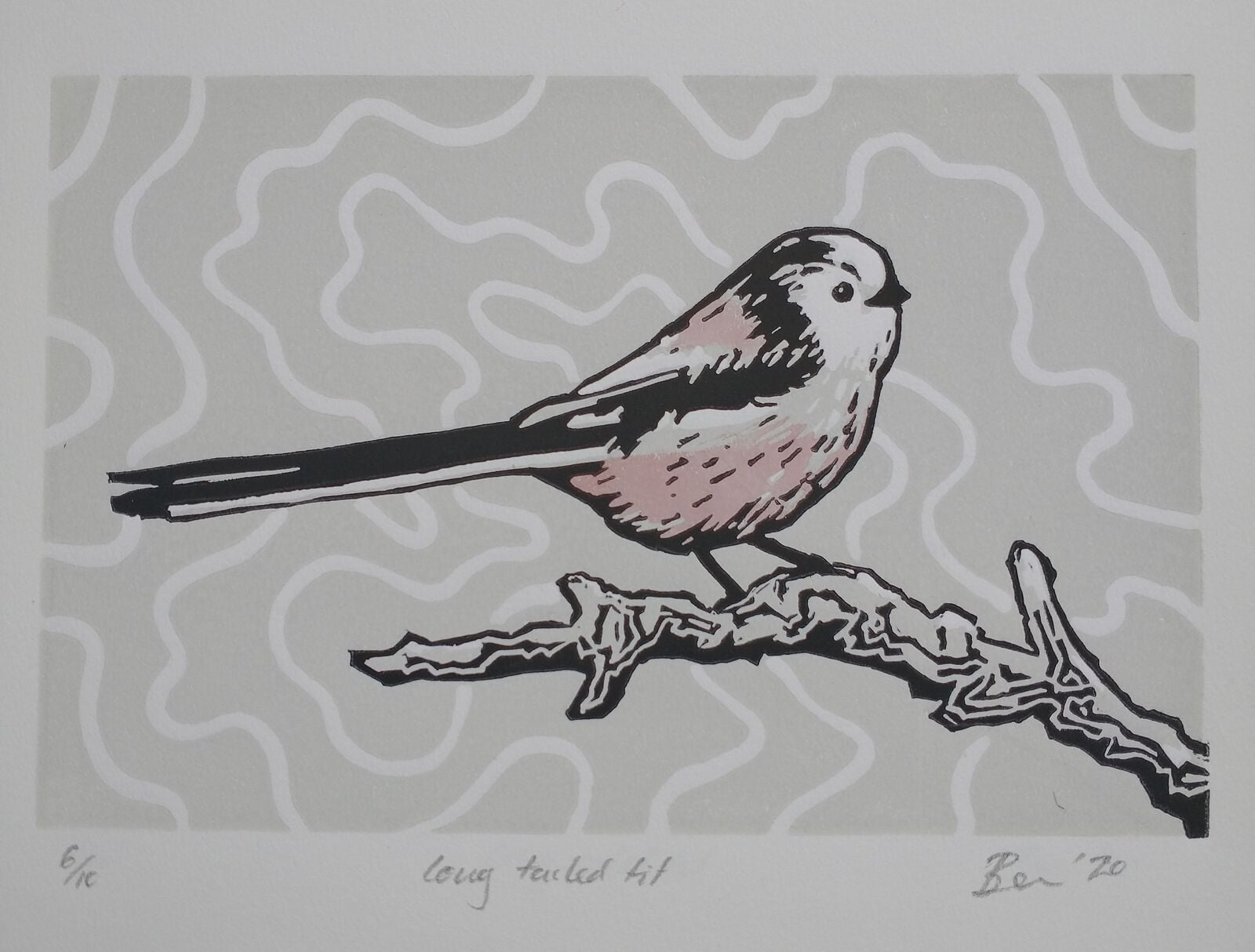 Long tailed tit