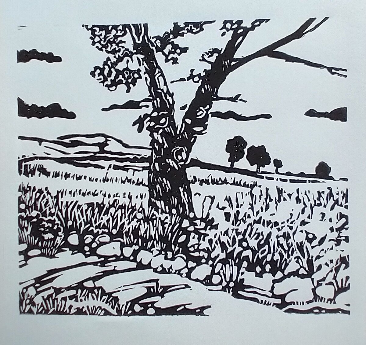 Country lane