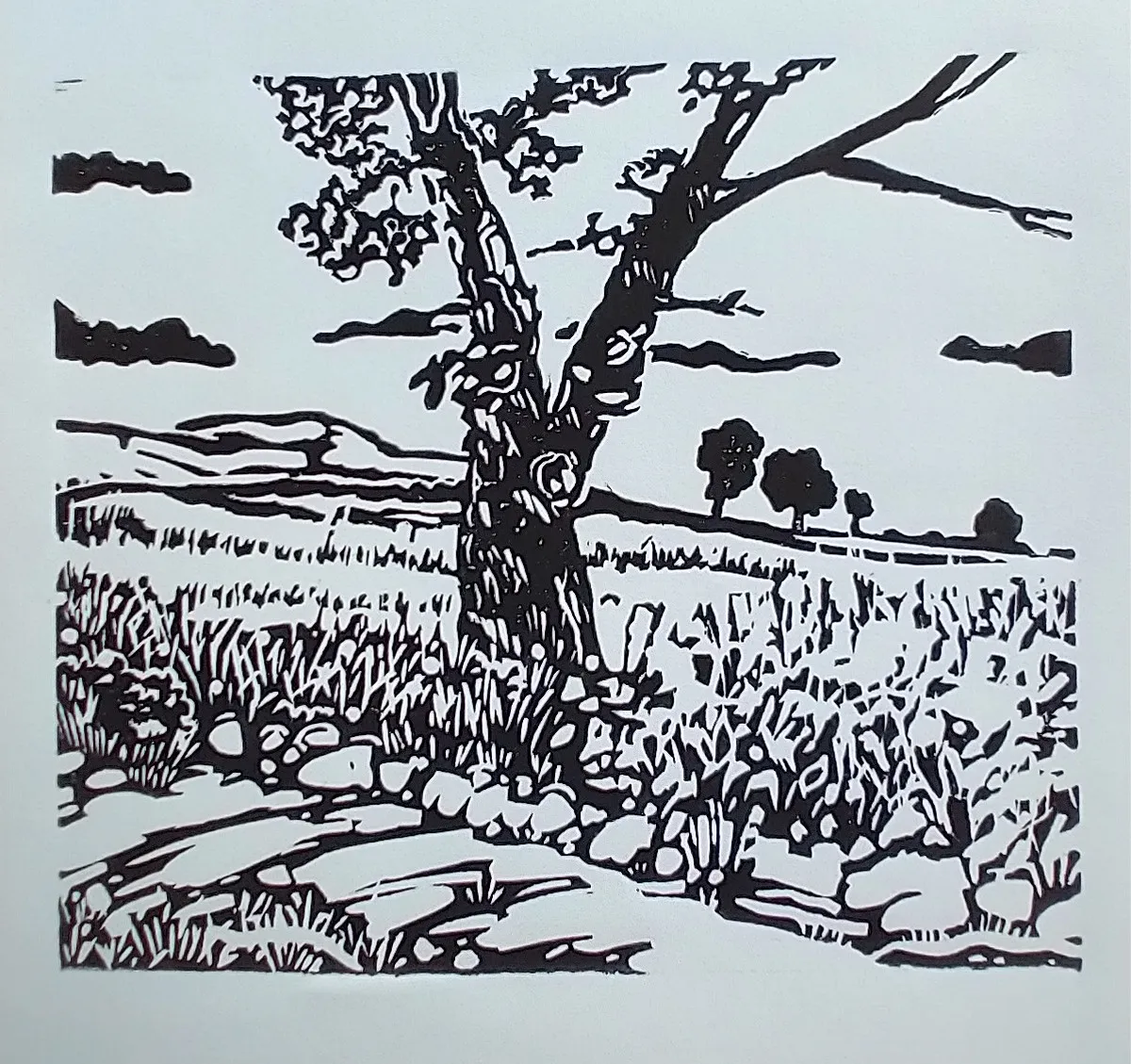 Ben Fitton – Northants & Rutland Open Studios