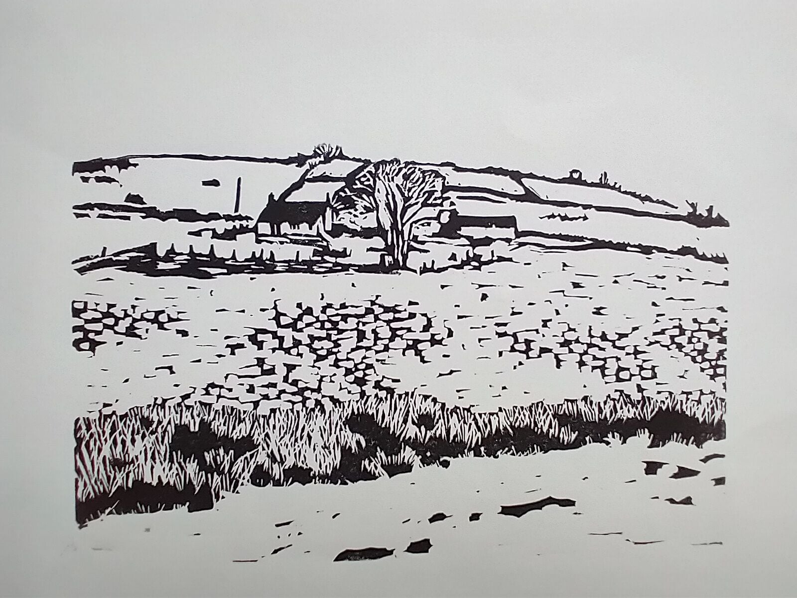 Lynne Cottage