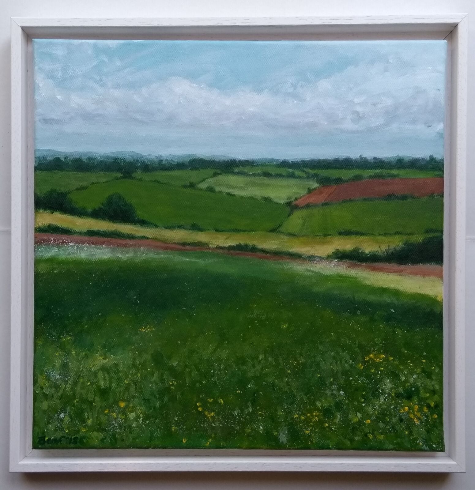 Cotswold fields