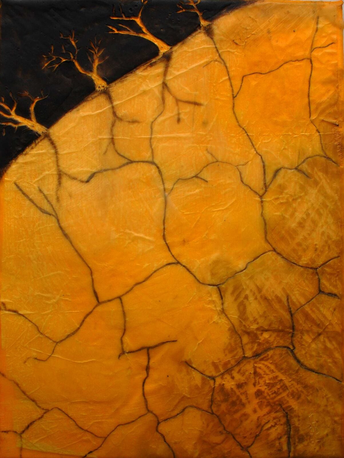 Desertification