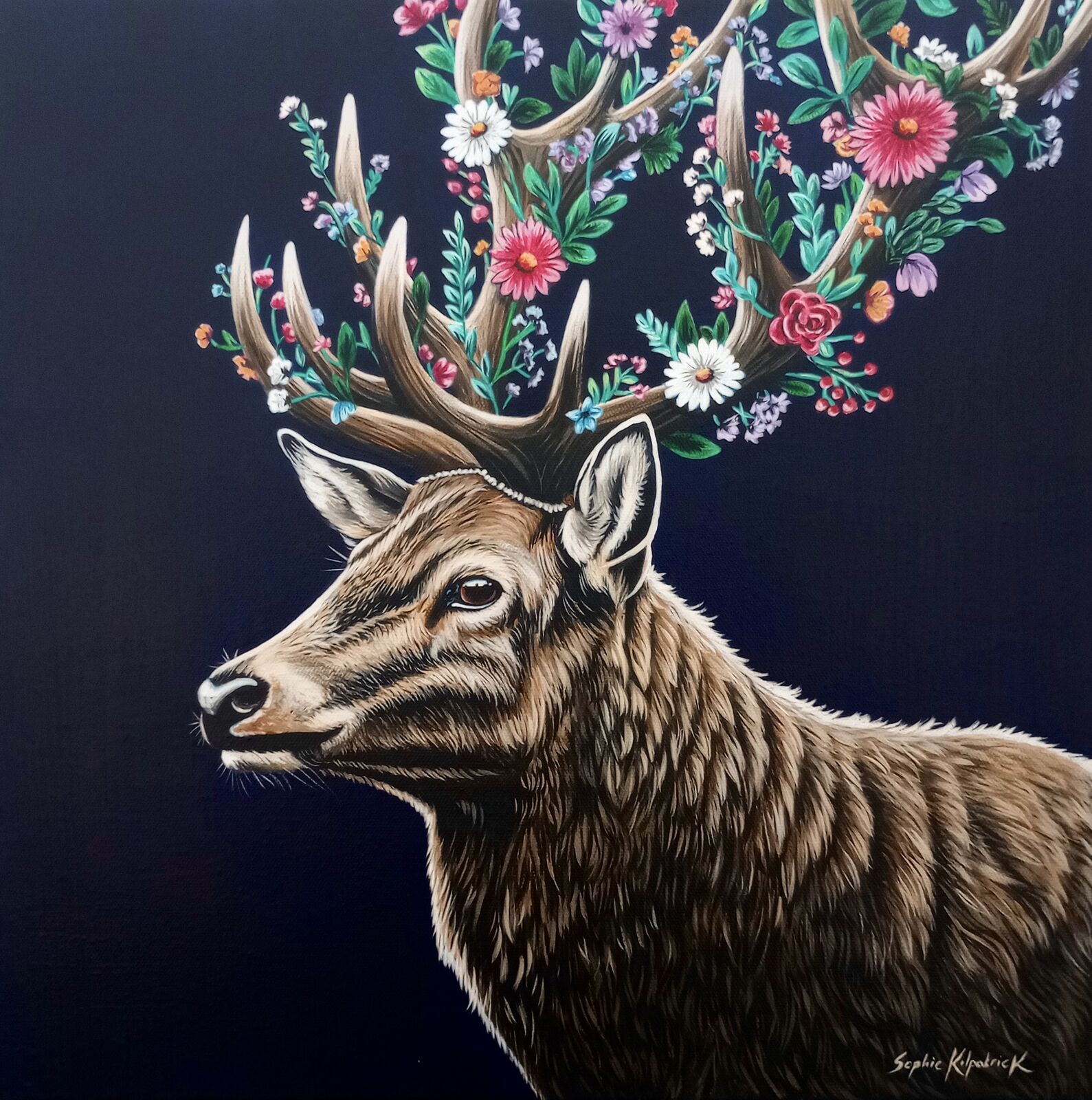 King Oak