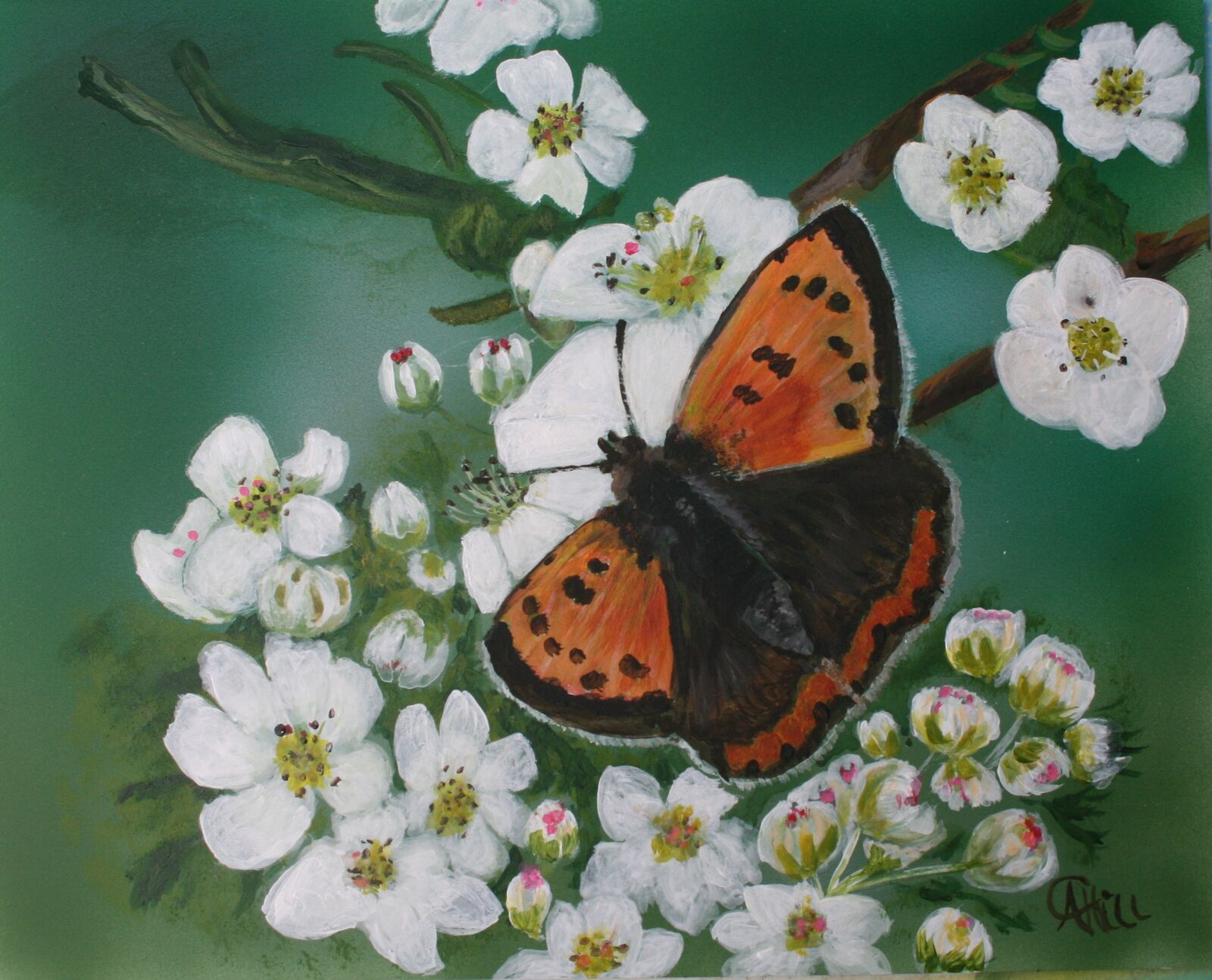 Monarch Butterfly