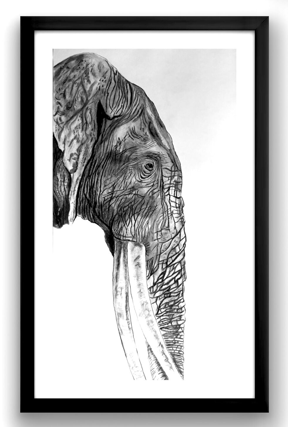 The Elephant