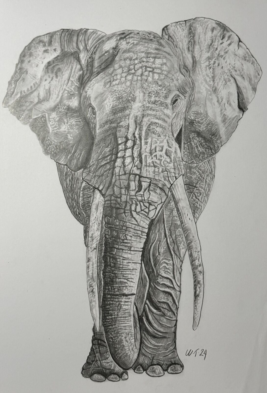 Tusks of Time