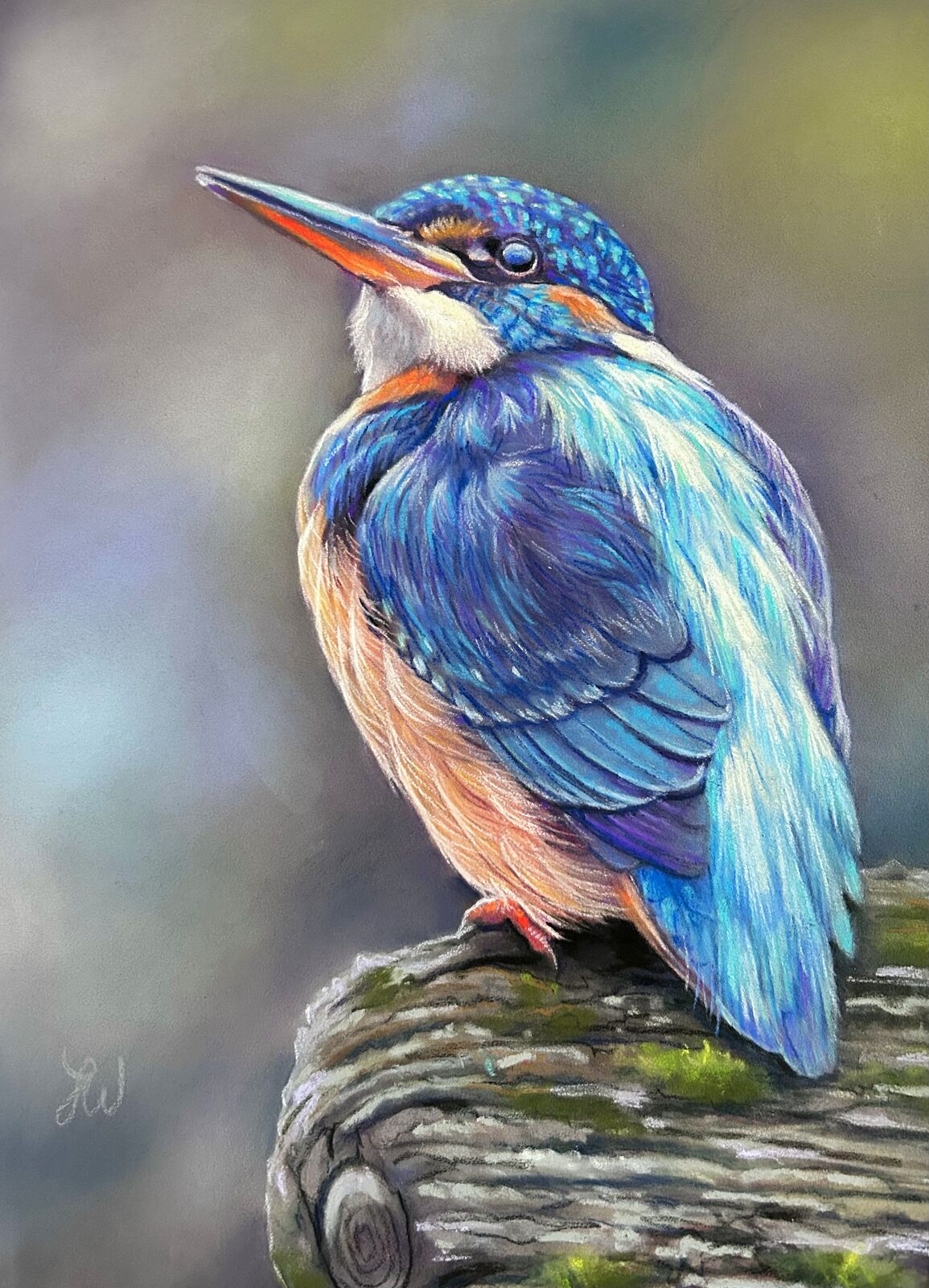 Kingfisher