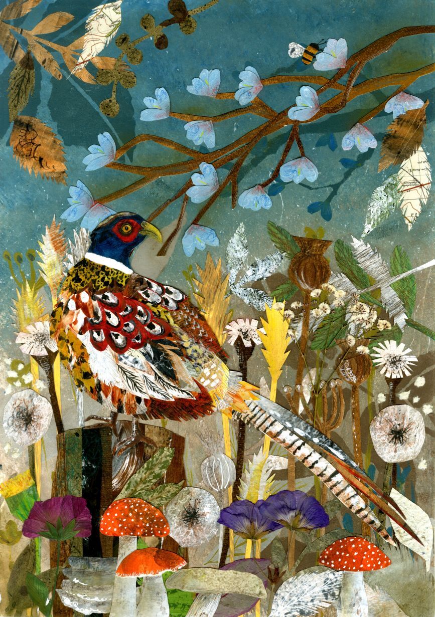 Pheasant Fields