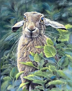 Hare's Looking at You by Janice Watson